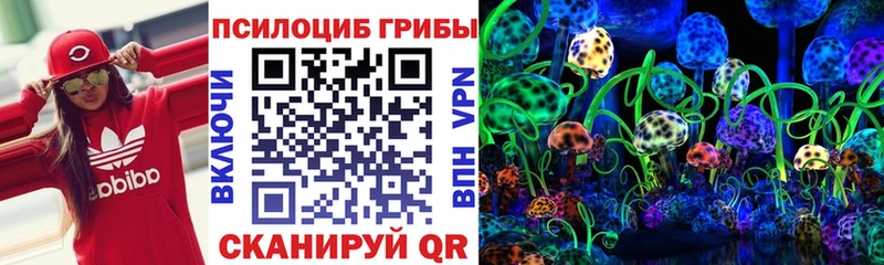 Галлюциногенные грибы GOLDEN TEACHER  наркота  Муравленко 